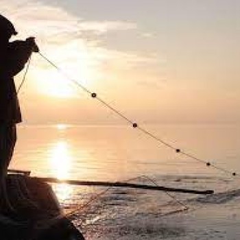 Başoğlu Balıkçılık Başoğlu Balıkçılık